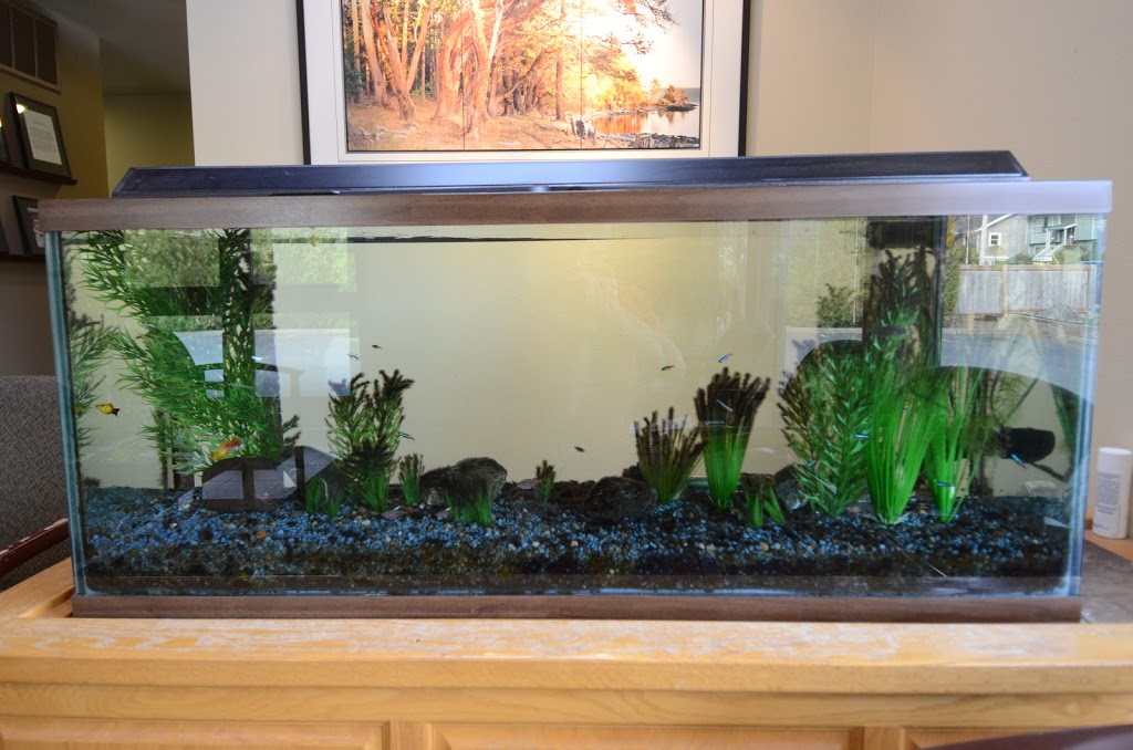 Chaddock Robert S DDS | 2814 Flint St, Bellingham, WA 98226, USA | Phone: (360) 734-9928