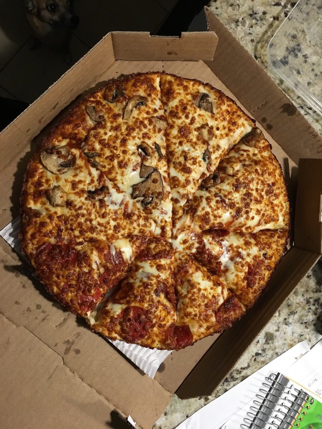 Dominos Pizza | 1555 Talbot Rd Unit #303, Windsor, ON N9H 2N2, Canada | Phone: (519) 966-3632