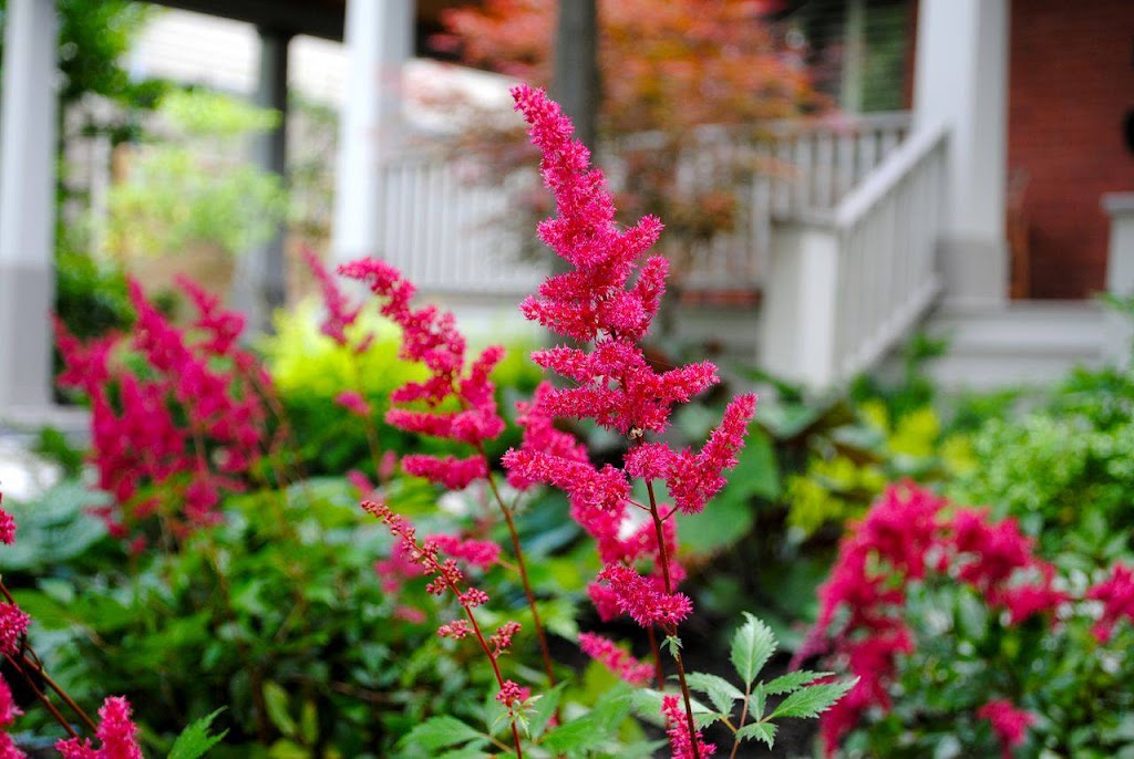 Gardening By Design Inc. | 3256 Yorks Corners Rd, Kenmore, ON K0A 2G0, Canada | Phone: (613) 805-4952