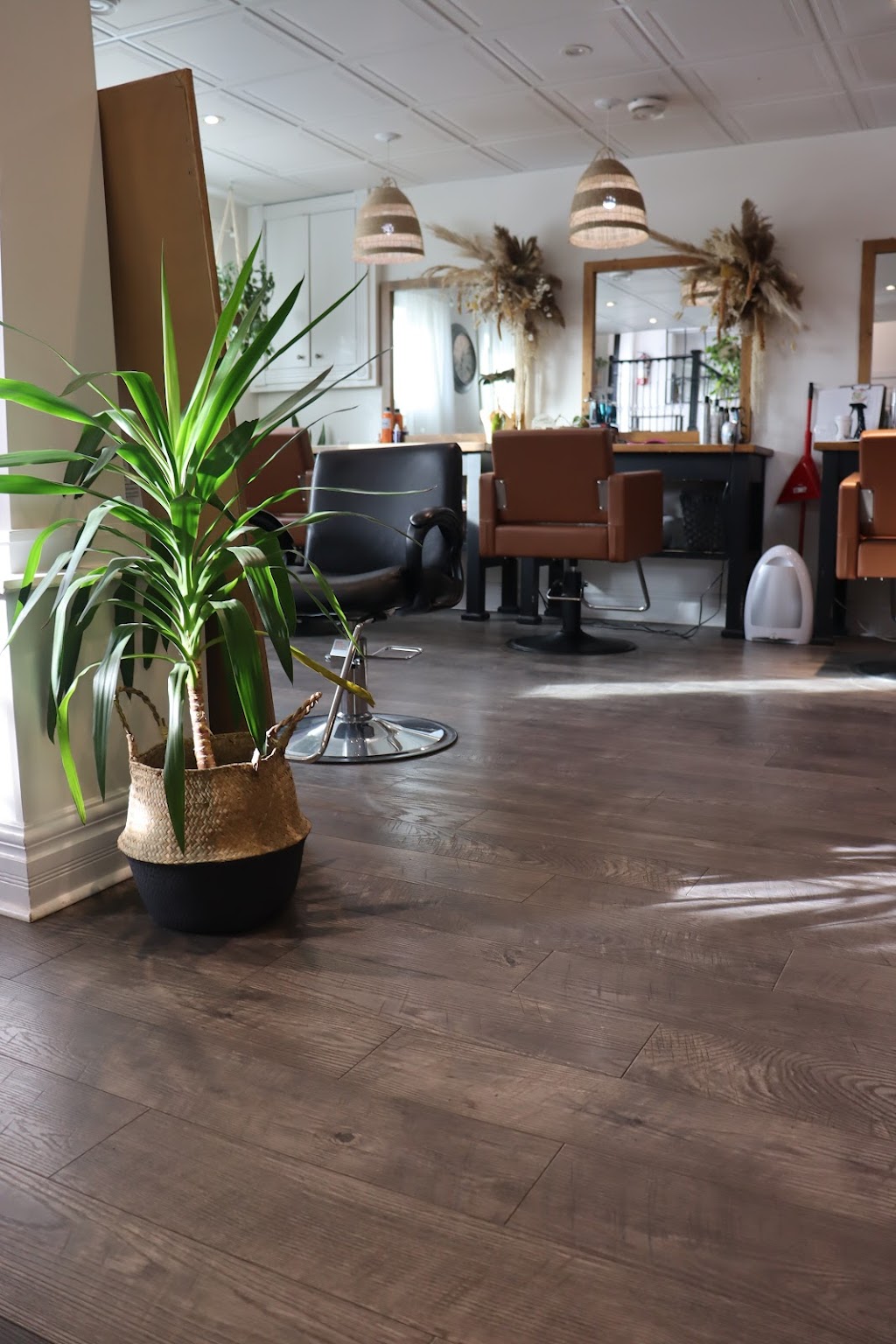 Urban Collective Wellness Lounge | 3227 Petawawa Blvd, Petawawa, ON K8H 1X8, Canada | Phone: (613) 506-0606