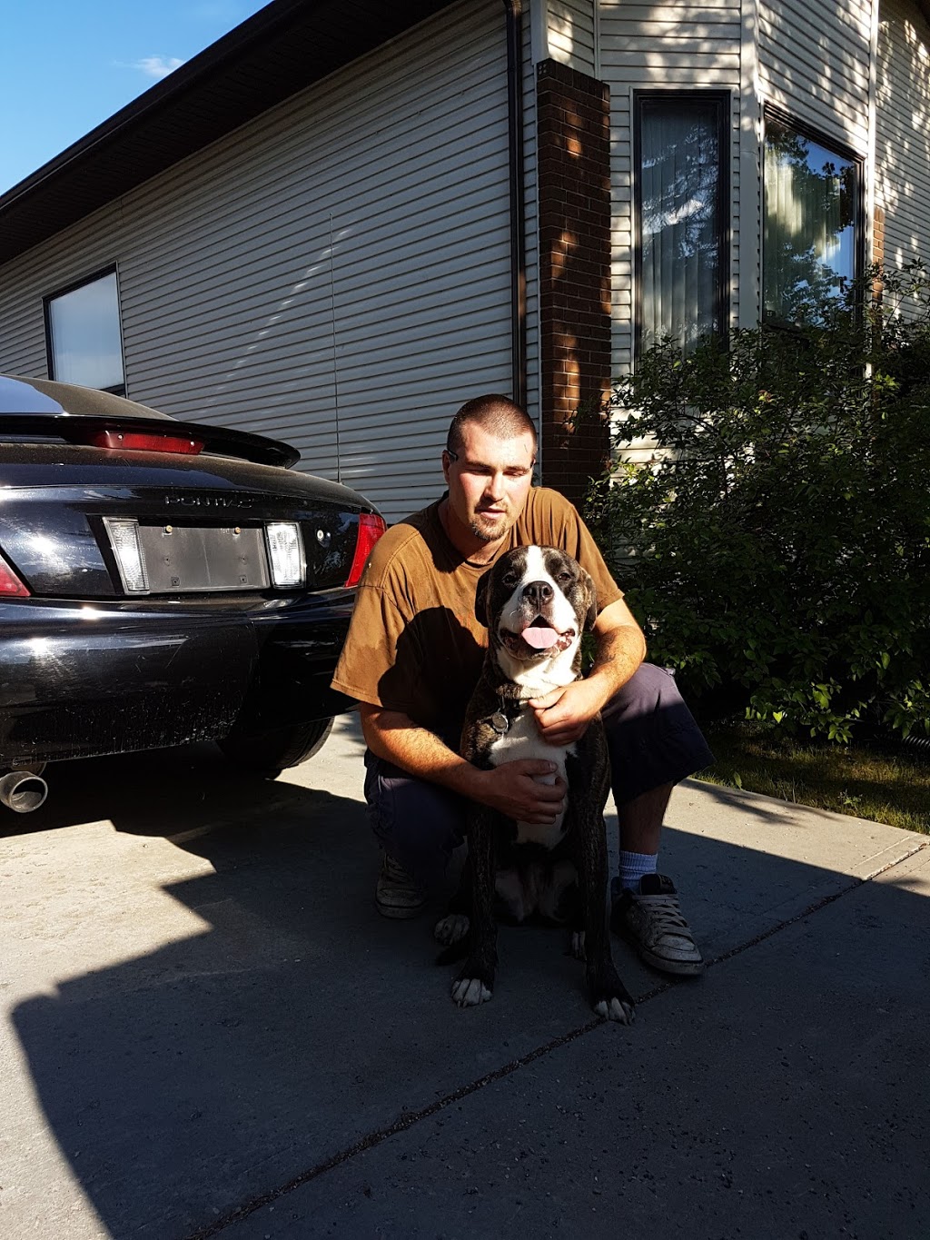Nadines Personal Pet Care | 107 Glenhill Dr, Cochrane, AB T4C 1H2, Canada | Phone: (403) 617-9923