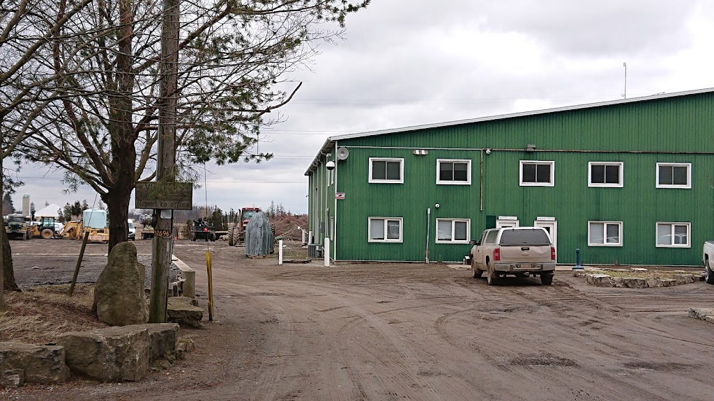 Braun Nursery Limited | 2004 Glancaster Rd, Mount Hope, ON L0R 1W0, Canada | Phone: (905) 648-1911
