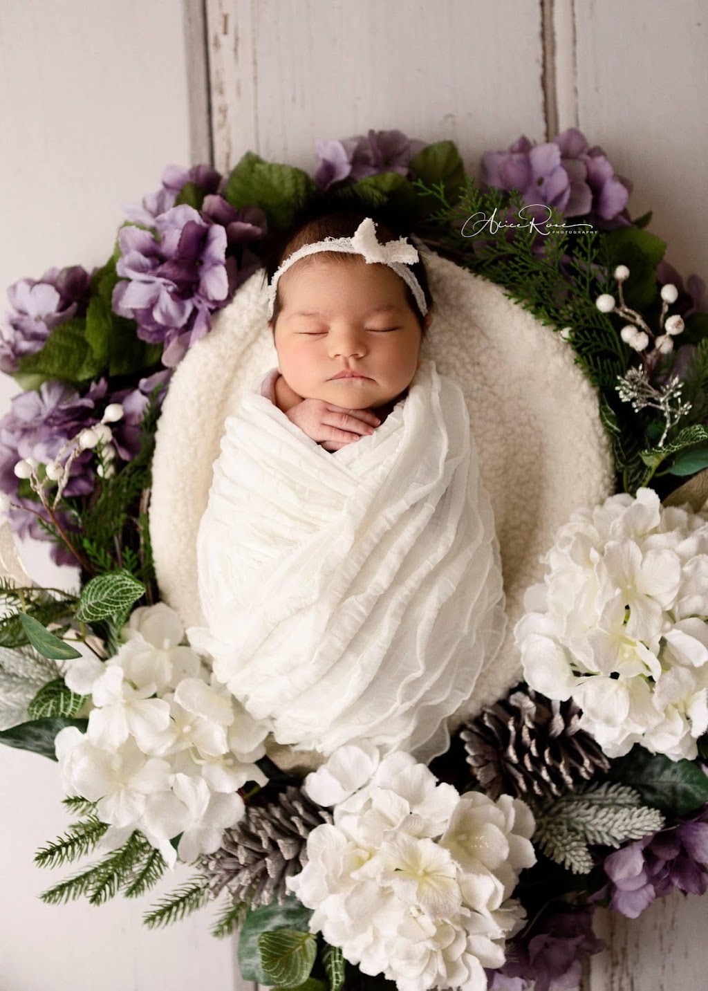 Alice Rose Photography | Box 211, 144 Hawk Eye Rd, Bragg Creek, AB T0L 0K0, Canada | Phone: (403) 808-4661