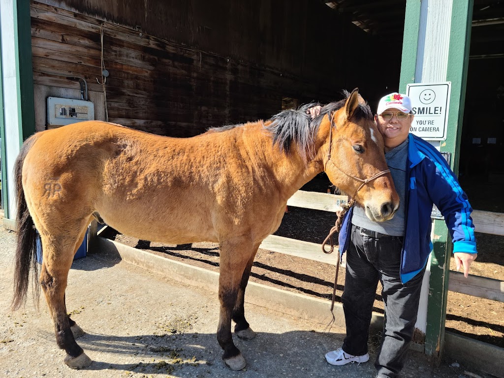 Discovery Equine at Cheam Stables | 9345 Ford Rd, Rosedale, BC V0X 1X2, Canada | Phone: (604) 316-0803