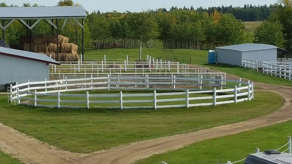 Higher Ground Horse Boarding | 52161 Range Rd 220, Sherwood Park, AB T8E 1B8, Canada | Phone: (780) 905-9333