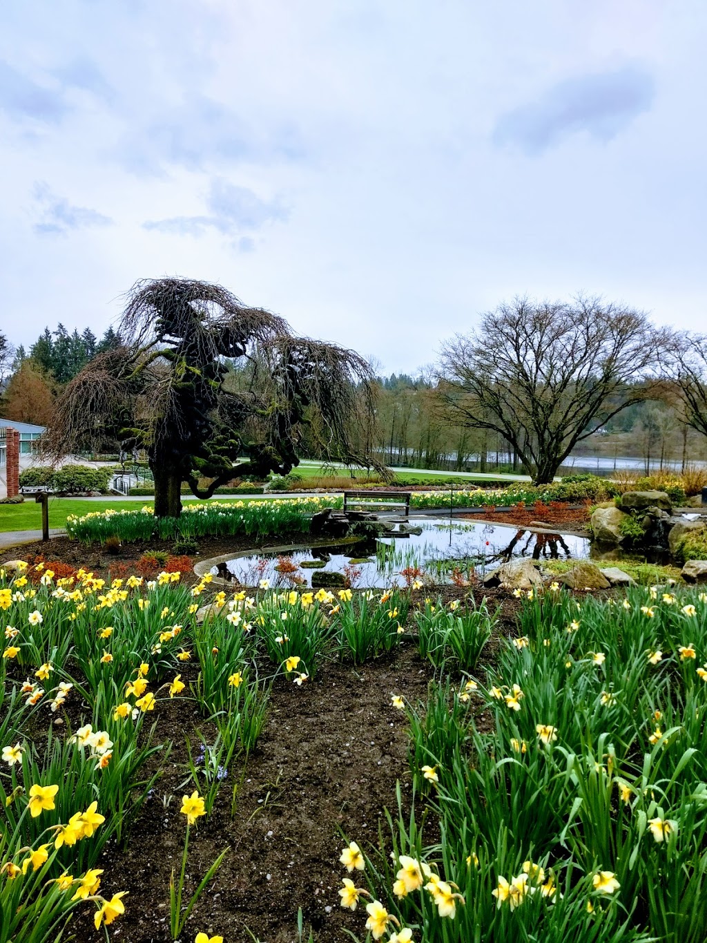 Deer Lake Gallery | 6584 Deer Lake Ave, Burnaby, BC V5G 3T7, Canada | Phone: (604) 298-7322