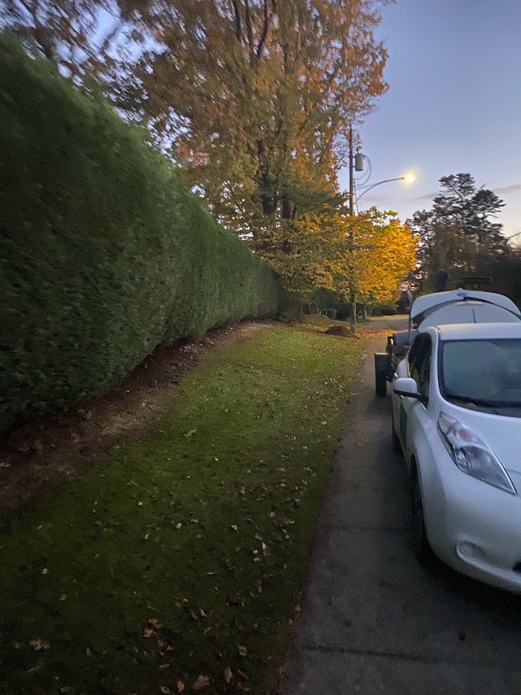 Electric Lawn - Victoria | 2885 Leigh Rd, Victoria, BC V9B 4G5, Canada | Phone: (250) 895-9960
