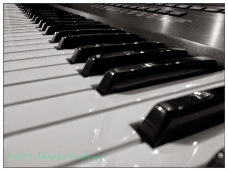SolahMoon Productions | 2100 Sherobee Rd, Mississauga, ON L5A 4C4, Canada | Phone: (226) 789-4657