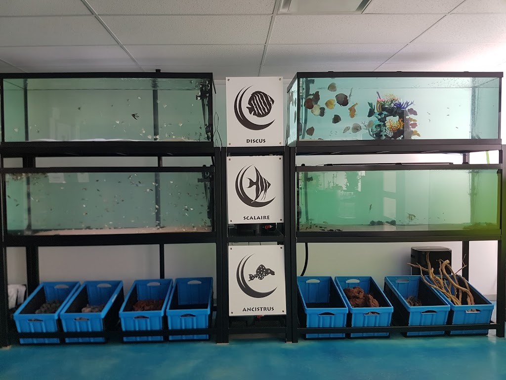 Poseidon Specialised Pet Store | 787 Boul. Louis-XIV, Québec, QC G1H 1A3, Canada | Phone: (418) 623-0821