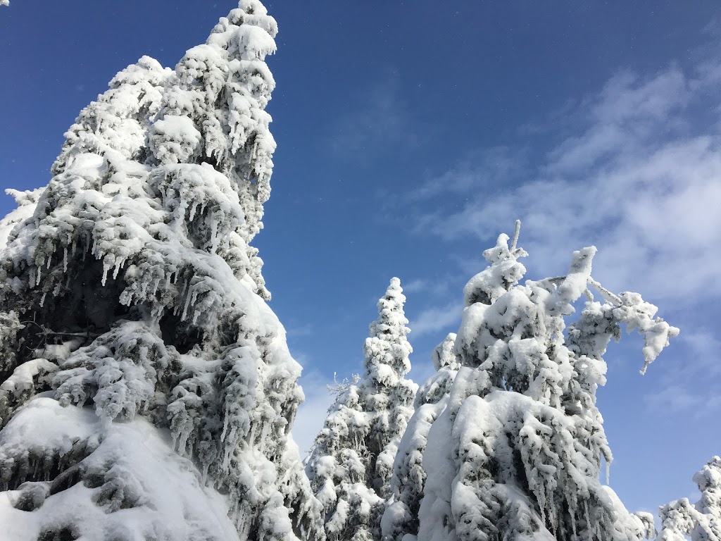 Animatours- RaidCanada.com (Administration) | 63 Chemin du Domaine Garceau, Saint-Donat-de-Montcalm, QC J0T 2C0, Canada | Phone: (819) 424-5809