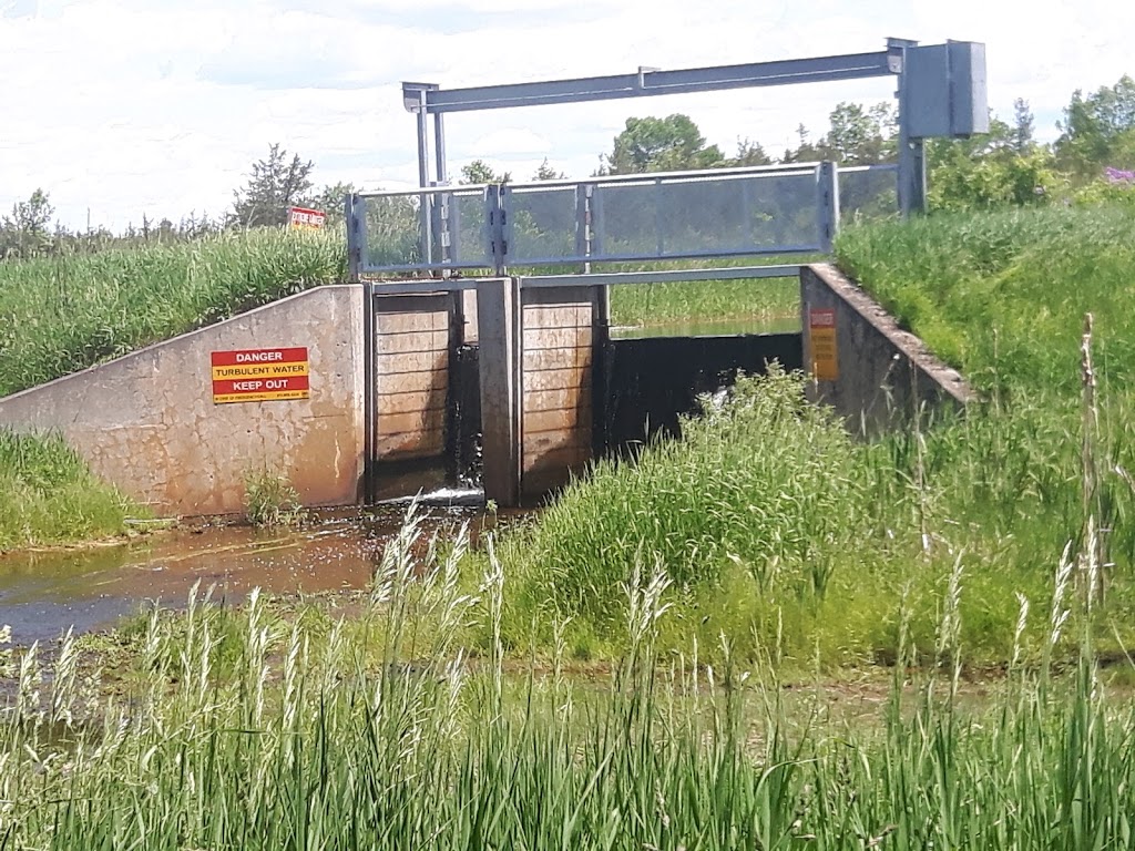 Demorestville | Road 5, Prince Edward, ON K0K 1W0, Canada | Phone: (613) 968-3434