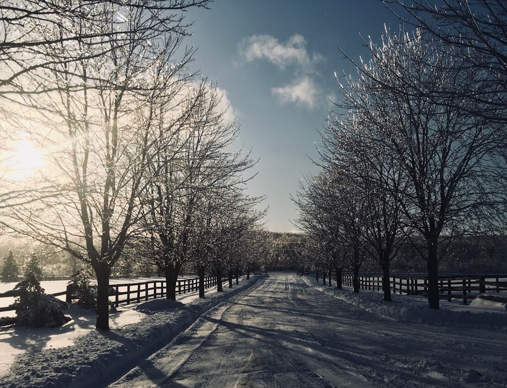Diamond Equestrian | Southgate, ON N0C, Canada | Phone: (519) 925-3836
