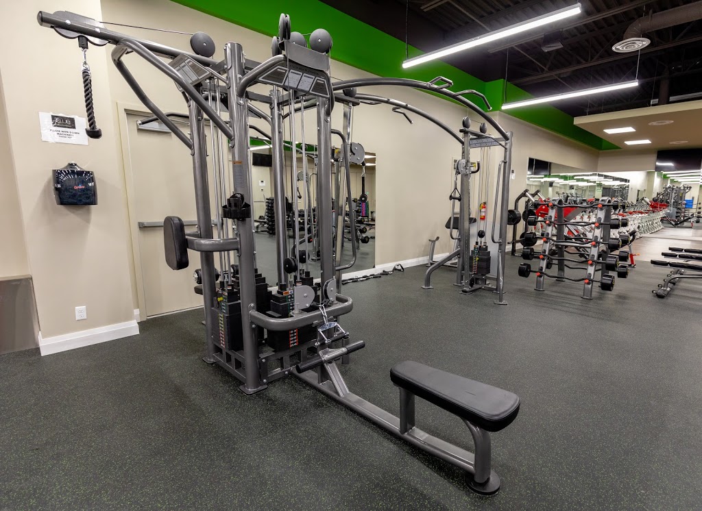 Club Eighty 8 - Health & Fitness | 652 River Rd, Welland, ON L3B 5N6, Canada | Phone: (905) 788-9588