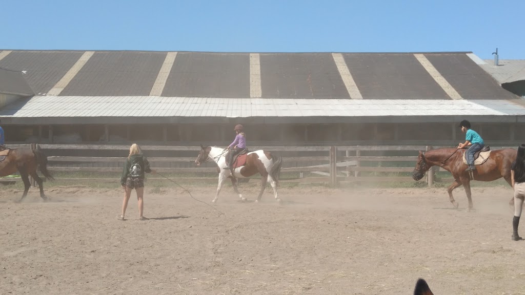 Equine Emporium The | 2800 Meadowpine Blvd, Mississauga, ON L5N 7E6, Canada | Phone: (905) 821-2159