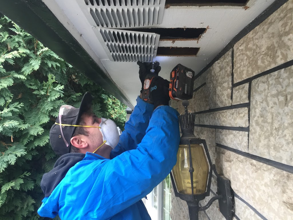 Ultimate Insulation - Attic Experts | 1322 Elliott St, Regina, SK S4N 3G3, Canada | Phone: (306) 205-7366