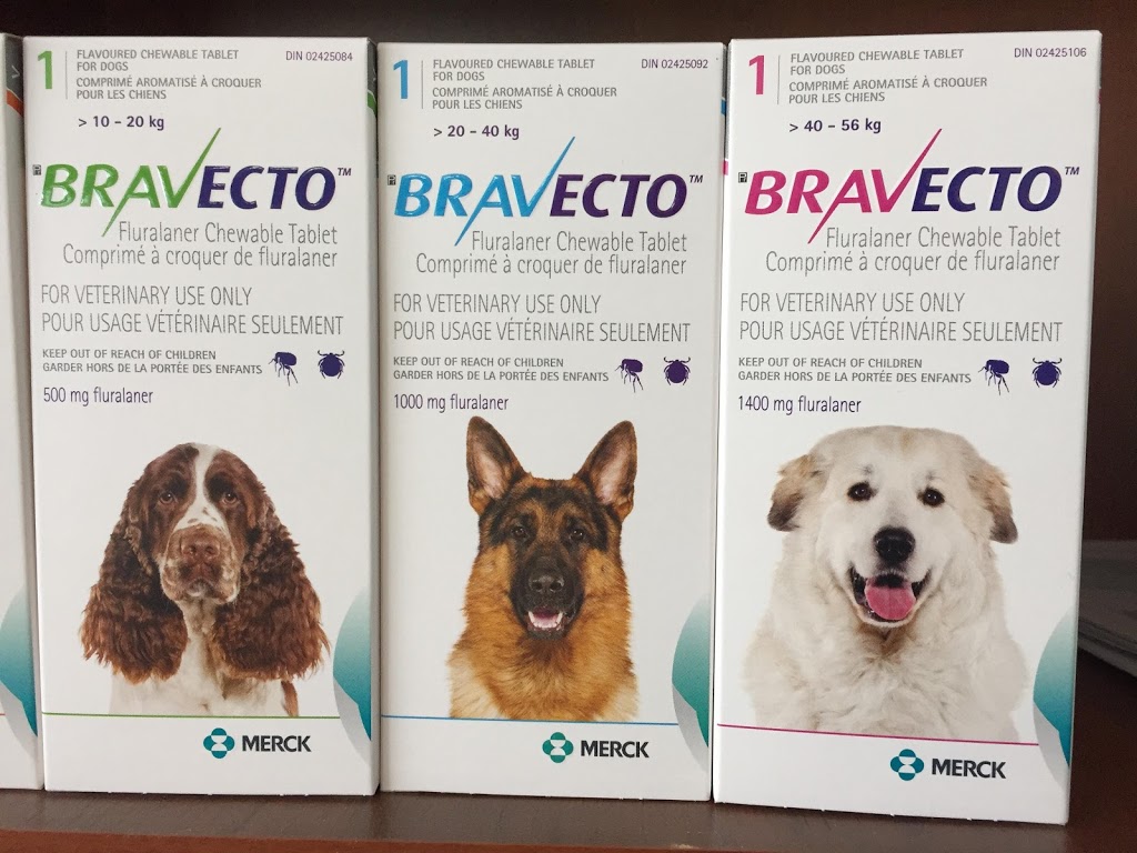 Kitchener Central Veterinary Hospital | 720 Westmount Rd E #6, Kitchener, ON N2E 2M6, Canada | Phone: (519) 570-0092
