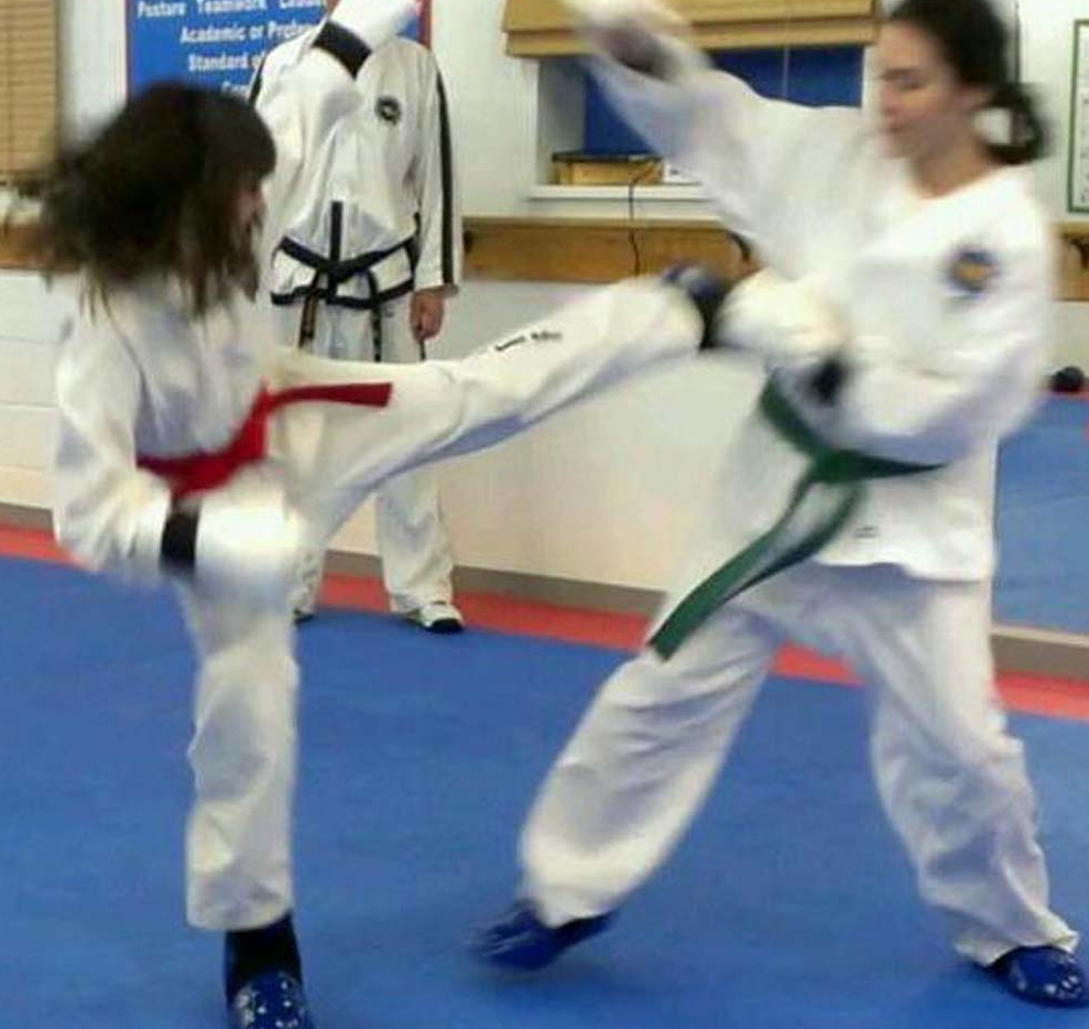 Taekwon-Do Maximus | 450 Main St E #201, Hamilton, ON L8N 1K2, Canada | Phone: (905) 525-9755