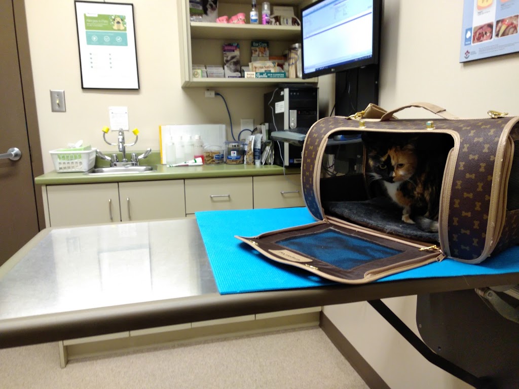 McLeod Veterinary Hospital | 880 McLeod Ave, Winnipeg, MB R2G 2T7, Canada | Phone: (204) 661-3334