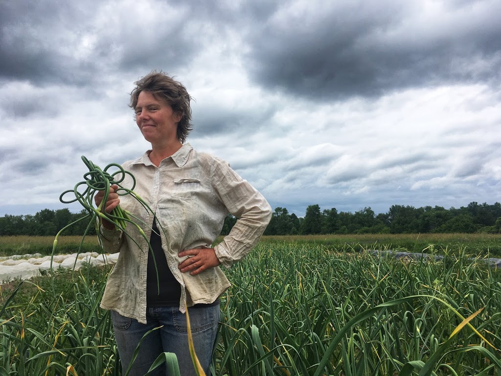 Knuckle Down Farm | 251 Anderson Island Rd, Frankford, ON K0K 2C0, Canada | Phone: (647) 928-5253