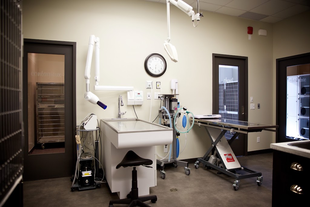 Hôpital Vétérinaire Passion Compassion | 650 Rue de Montbrun #106, Boucherville, QC J4B 8G9, Canada | Phone: (450) 906-6090