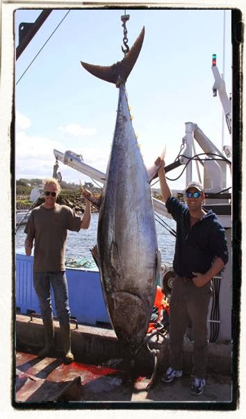 Dawn Treader Tuna Charters | Box 1302, Chéticamp, NS B0E 1H0, Canada | Phone: (902) 478-3775