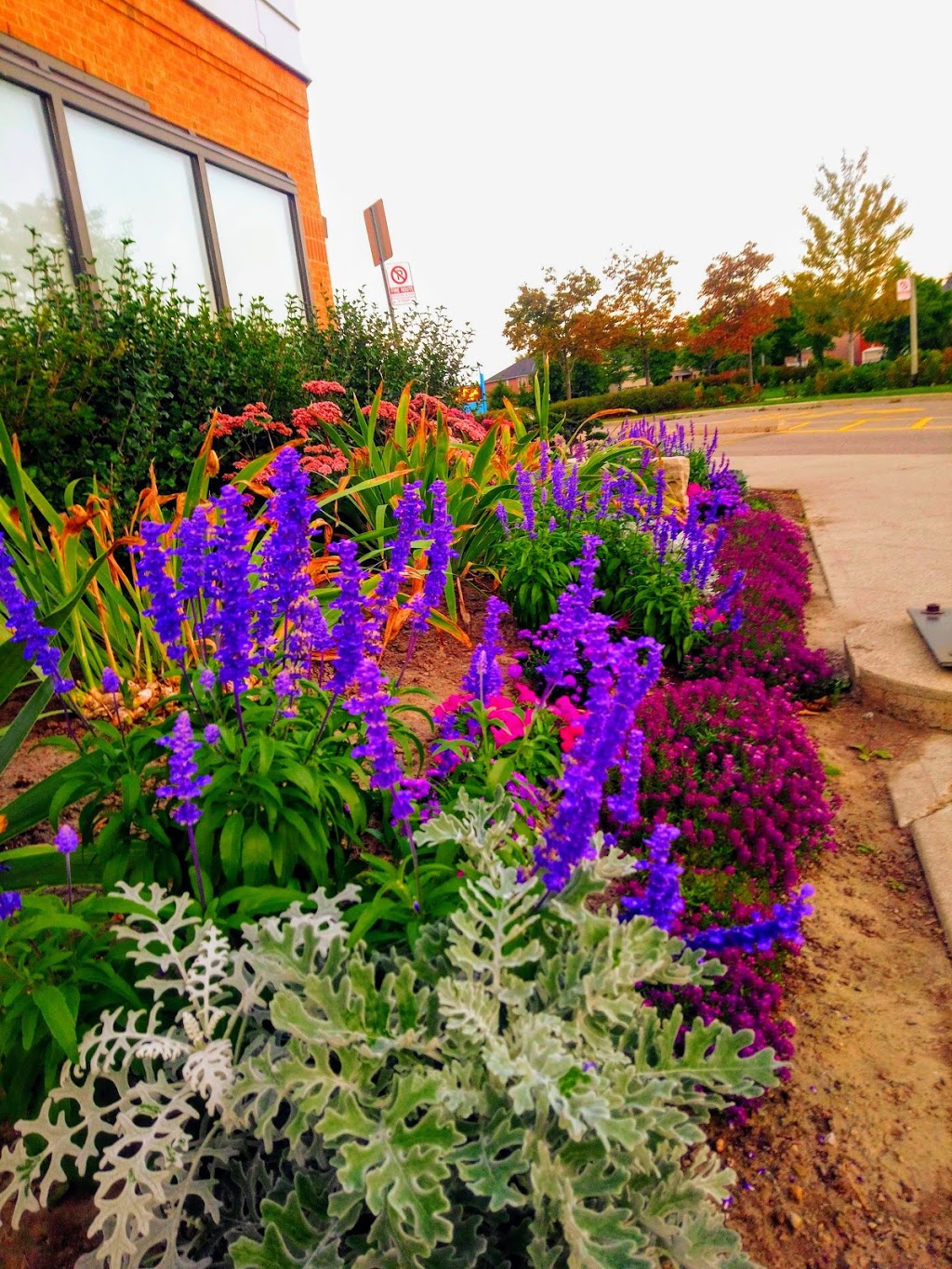 Plum Tree Park Public School | 6855 Tenth Line W, Mississauga, ON L5N 4Y6, Canada | Phone: (905) 824-0155