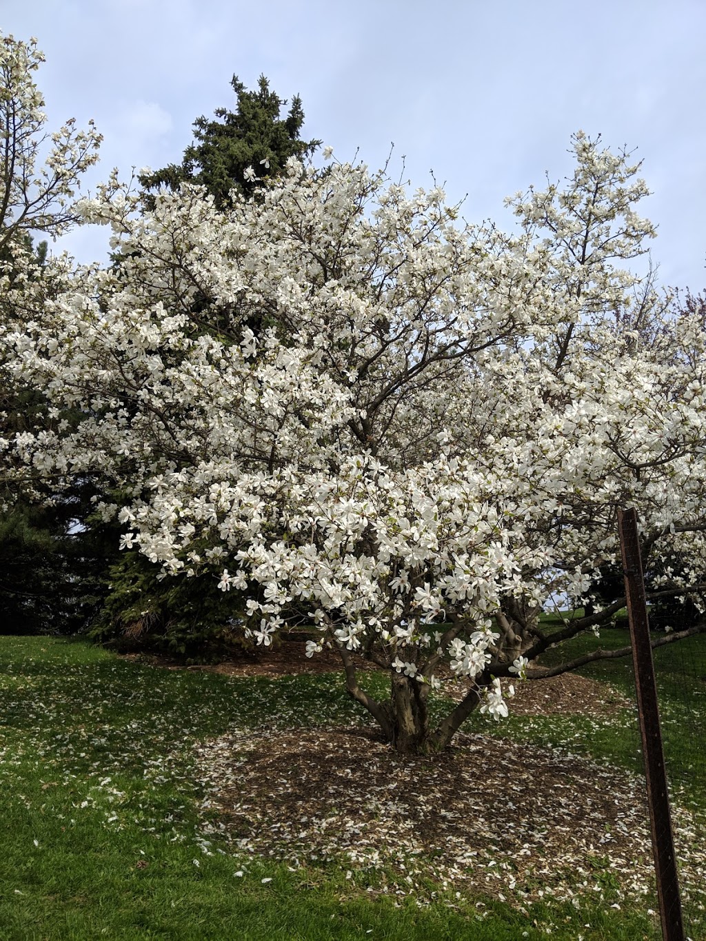 Humber Arboretum | 205 Humber College Blvd, Etobicoke, ON M9W 5L7, Canada | Phone: (416) 675-5009