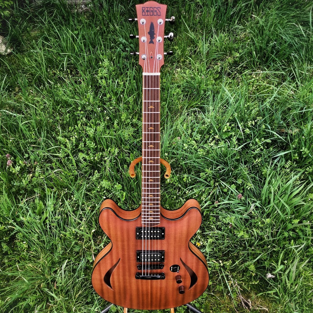 Biggs Guitars | 259 Esquimalt Rd, Victoria, BC V9A 7A8, Canada | Phone: (778) 678-0352
