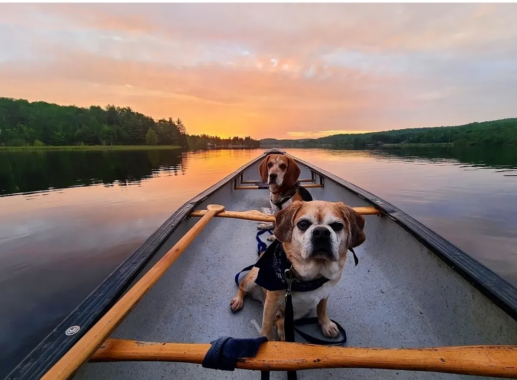 Algonquins Edge Resort | 24909 ON-60, Whitney, ON K0J 2M0, Canada | Phone: (416) 951-1230