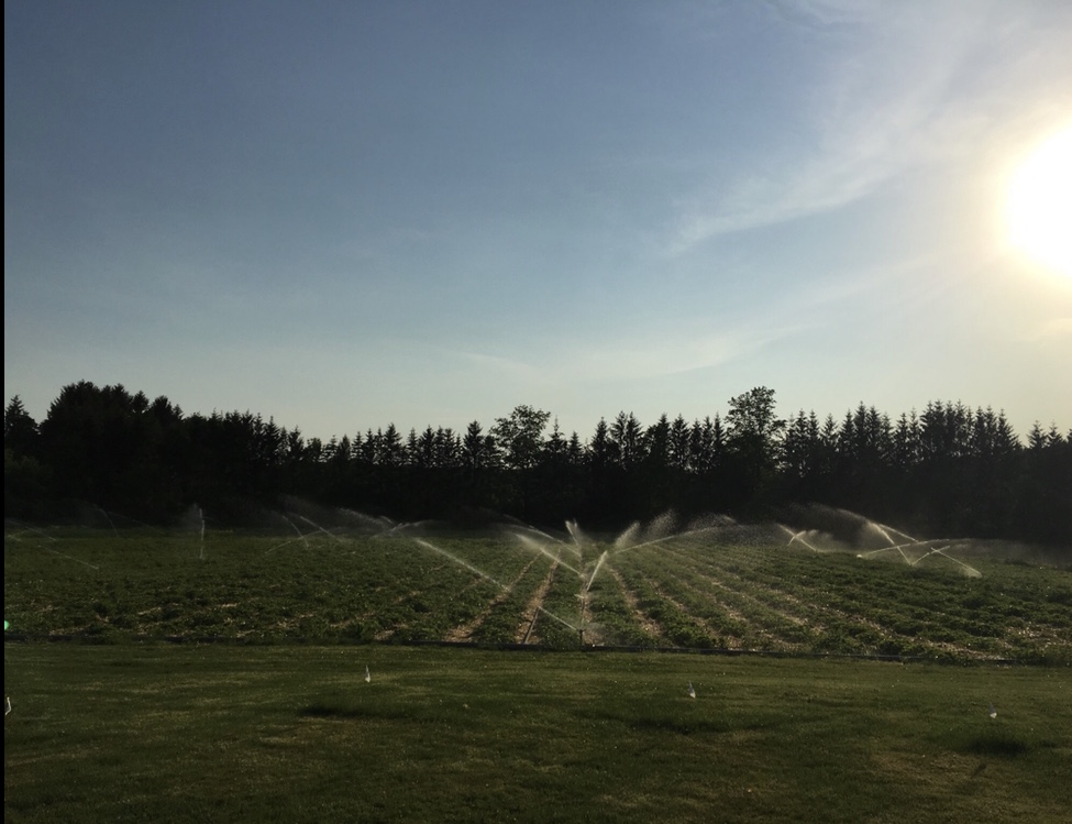 Trapper Bob Farm | 16864 Warden Ave., Newmarket, ON L3Y 4W1, Canada | Phone: (905) 836-6358