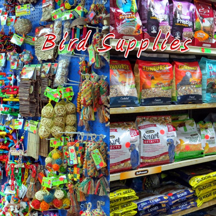 Exotic Wings & Pet Things | 3561 Lobsinger Line, St. Clements, ON N0B 2M0, Canada | Phone: (888) 276-0031