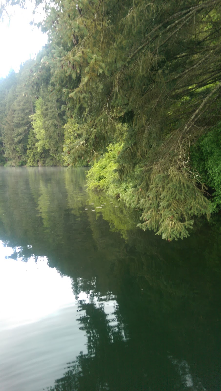 Nala Island | Axelson Rd, Bellingham, WA 98229, USA