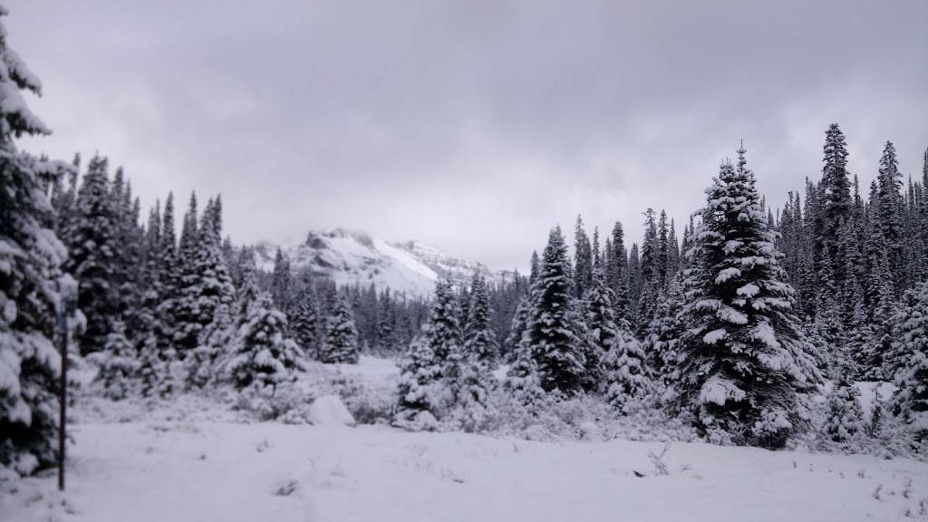 Elizabeth Parker Hut Federal Heritage Building | Lake Ohara Fire Rd, Columbia-Shuswap, BC V0A 1G0, Canada | Phone: (403) 678-3200