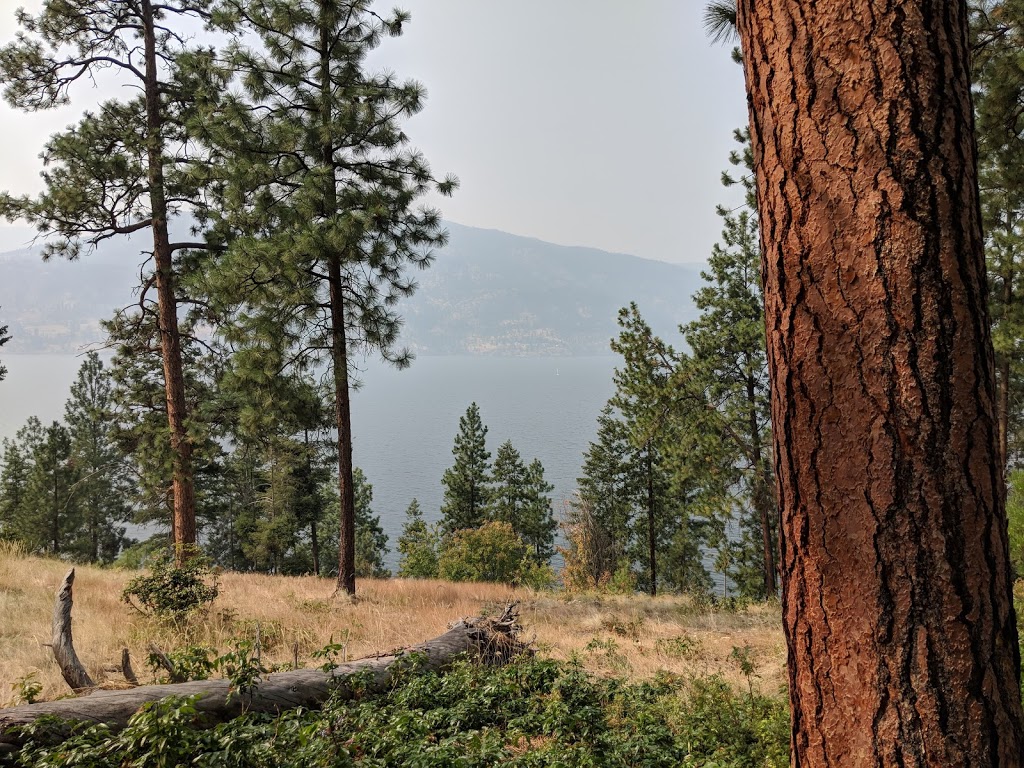 Lochview Trail | Lochview Rd, Kelowna, BC V1V 1G8, Canada