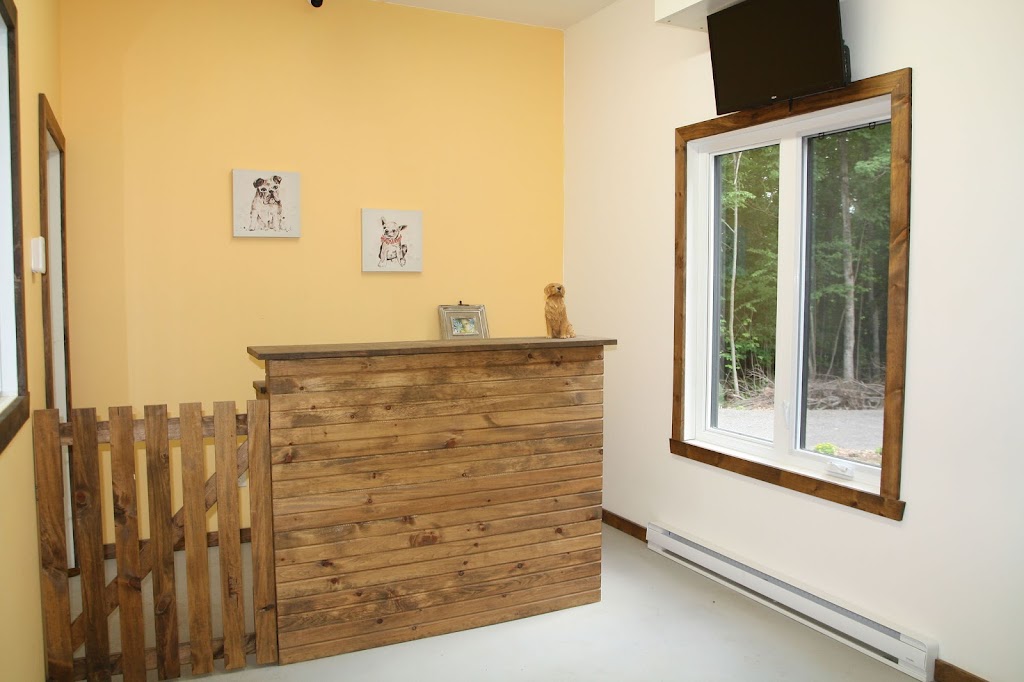 Le Chalet Complexe canin | 575 Mnt Cochrane, Saint-Calixte, QC J0K 1Z0, Canada | Phone: (514) 632-4097