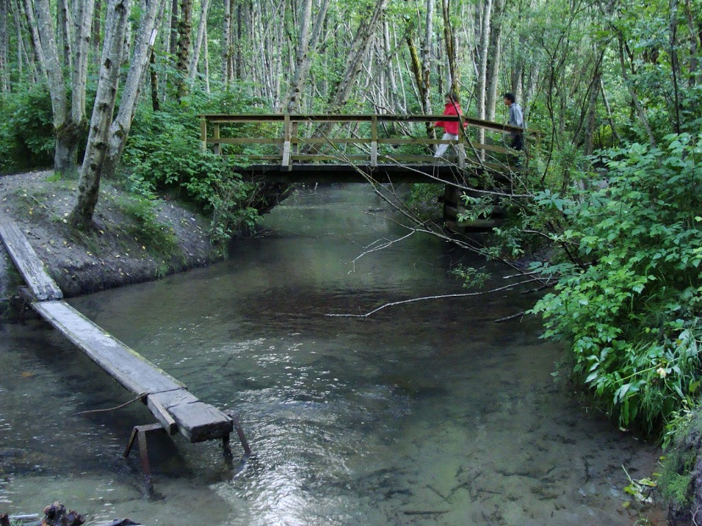 Fishermans Park Squamish River | River Rd, Squamish, BC V0N 1H0, Canada | Phone: (604) 815-4040
