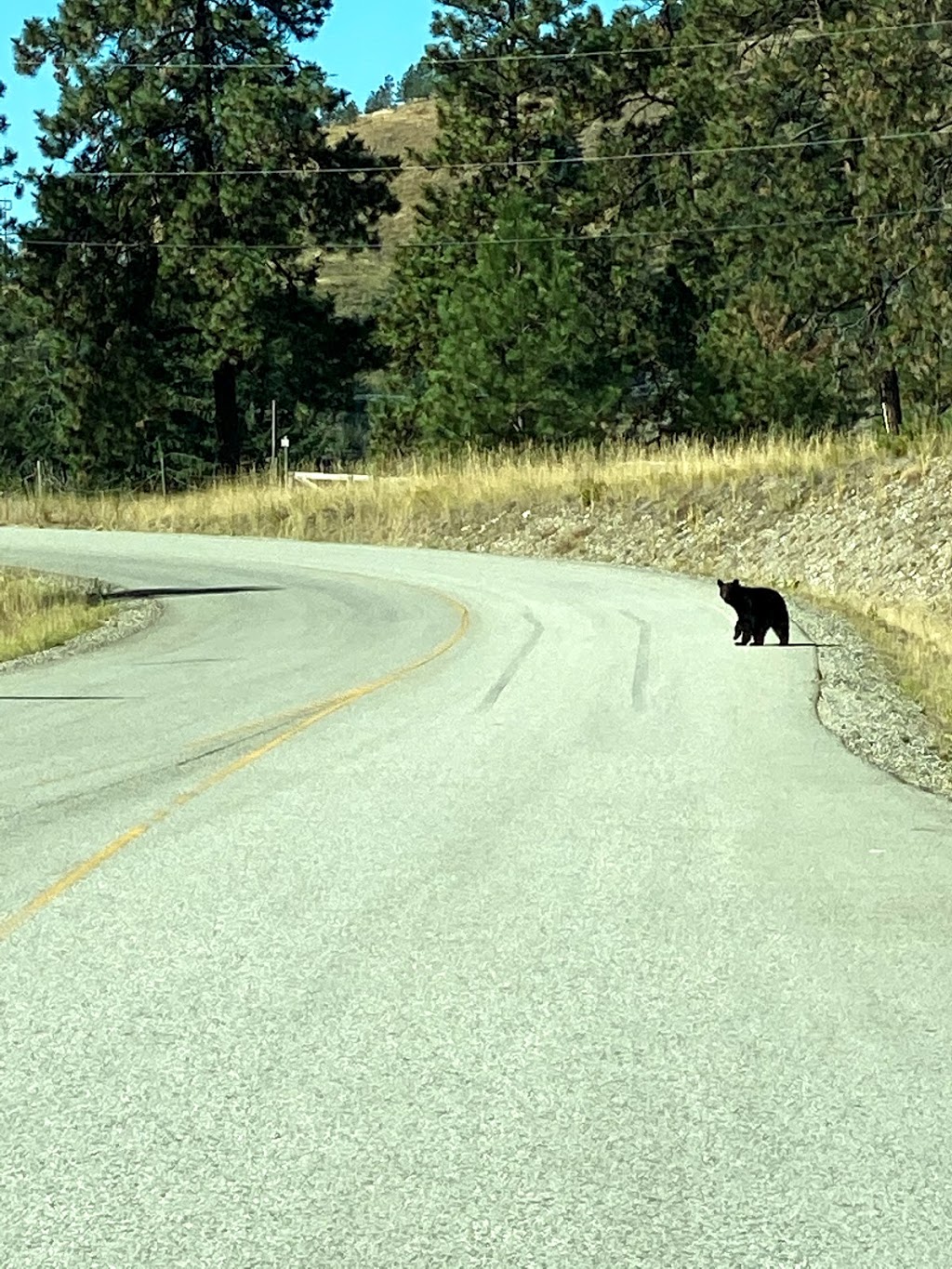 Ponderosa Pines RV Park & Campsite | 4910 Trans-Canada Hwy Suite 51, Pritchard, BC V0E 2P0, Canada | Phone: (250) 577-3468