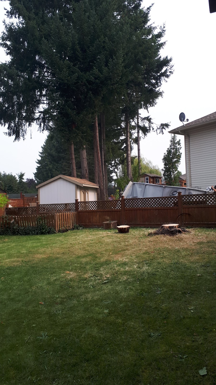 VRP Tree Service | 3097 Landmark Crescent, Nanaimo, BC V9T 5P9, Canada | Phone: (250) 327-7124