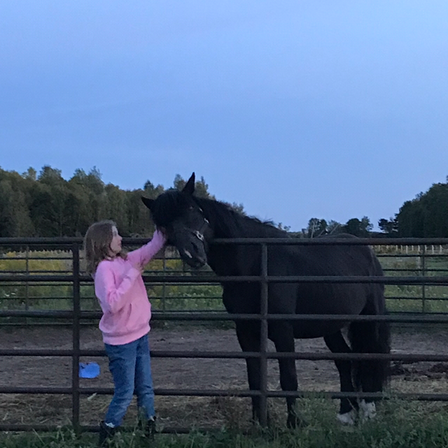 Seven Summits Equestrian Center | 1561 Flos Rd 8 W, Elmvale, ON L0L 1P0, Canada | Phone: (705) 322-8181