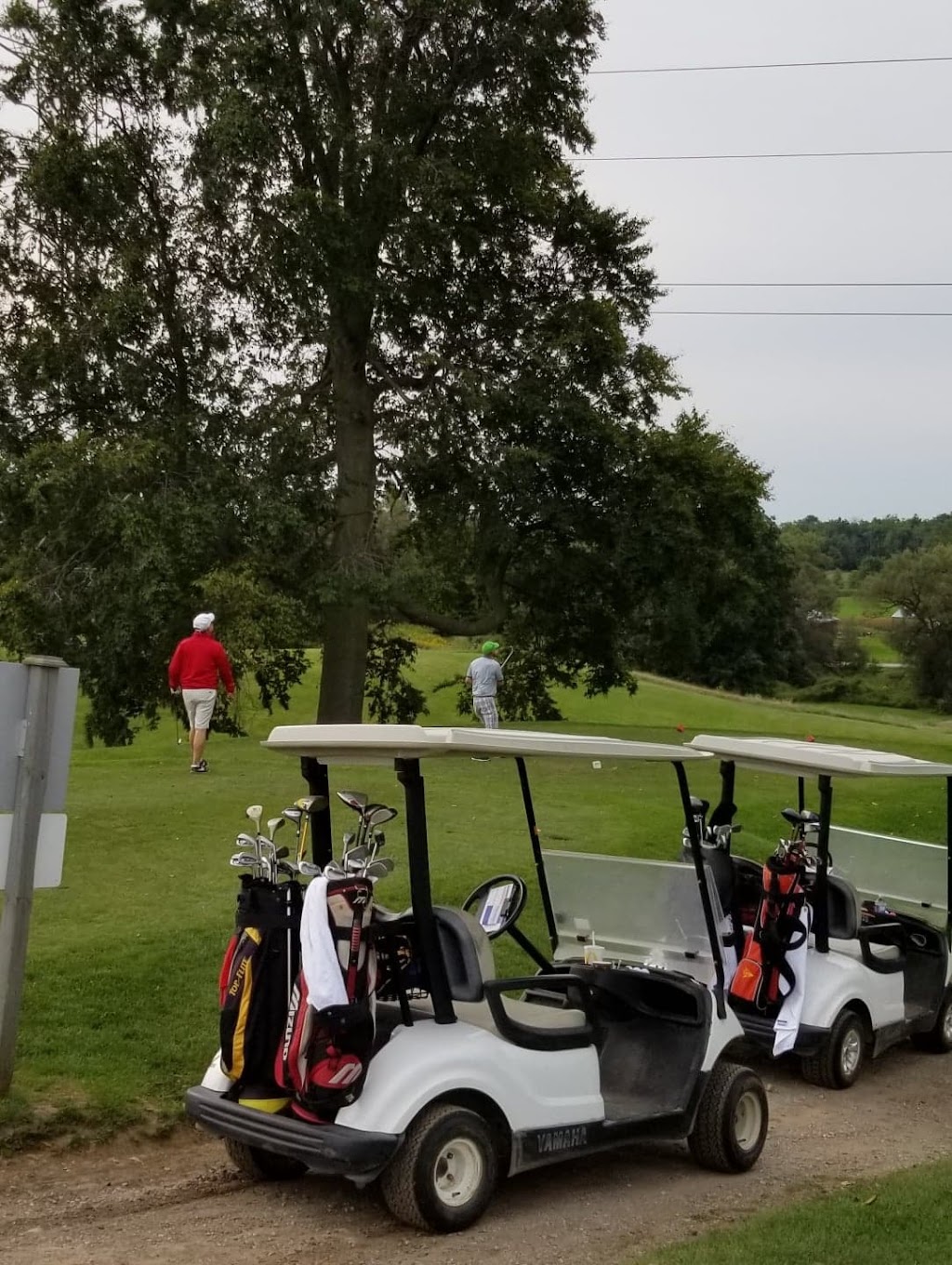 Tamarack Ridge Golf Club | 3950 Cromarty Dr, Putnam, ON N0L 2B0, Canada | Phone: (519) 269-3720