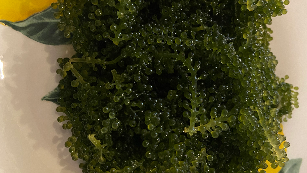 Healthy Foods By Gin | 638 John Kennedy Way, Almonte, ON K0A 1A0, Canada | Phone: (613) 318-4095