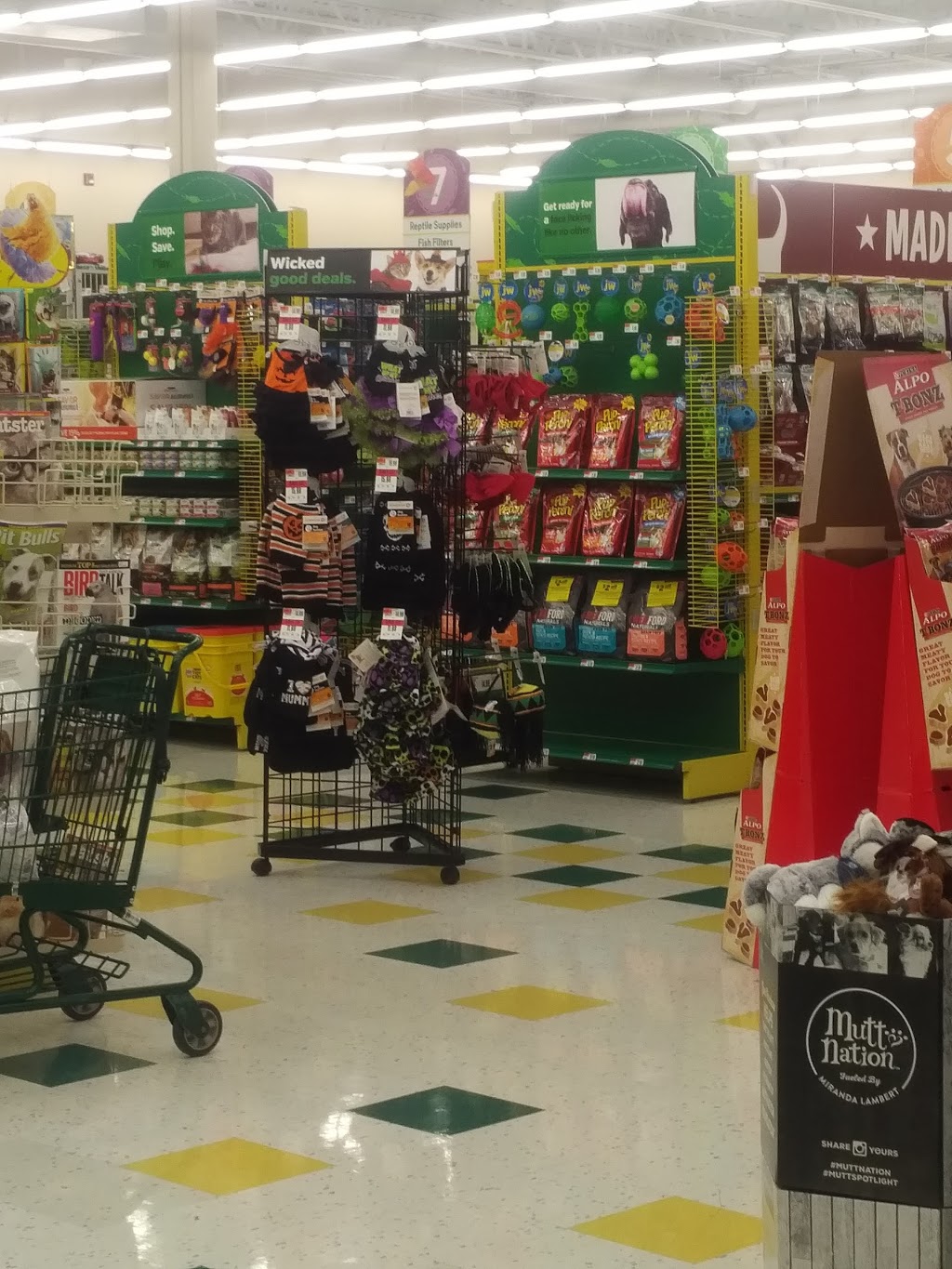 Pet Supplies Plus | 2952 Niagara Falls Blvd, Amherst, NY 14228, USA | Phone: (716) 695-3595
