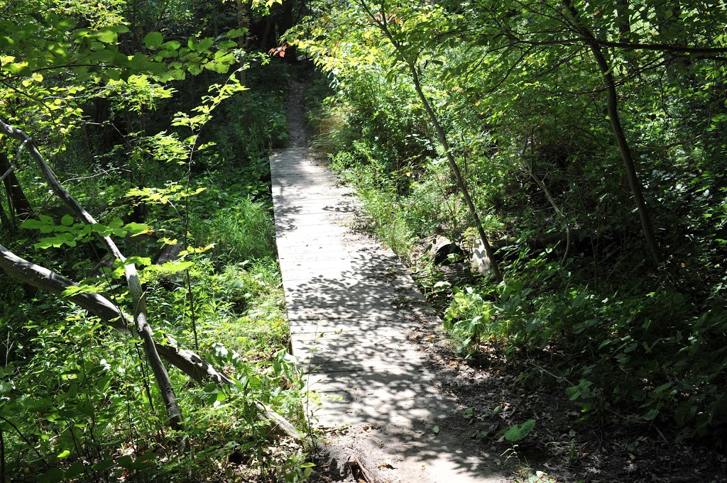 Kains Woods | River Bend, London, ON N6K 5R1, Canada