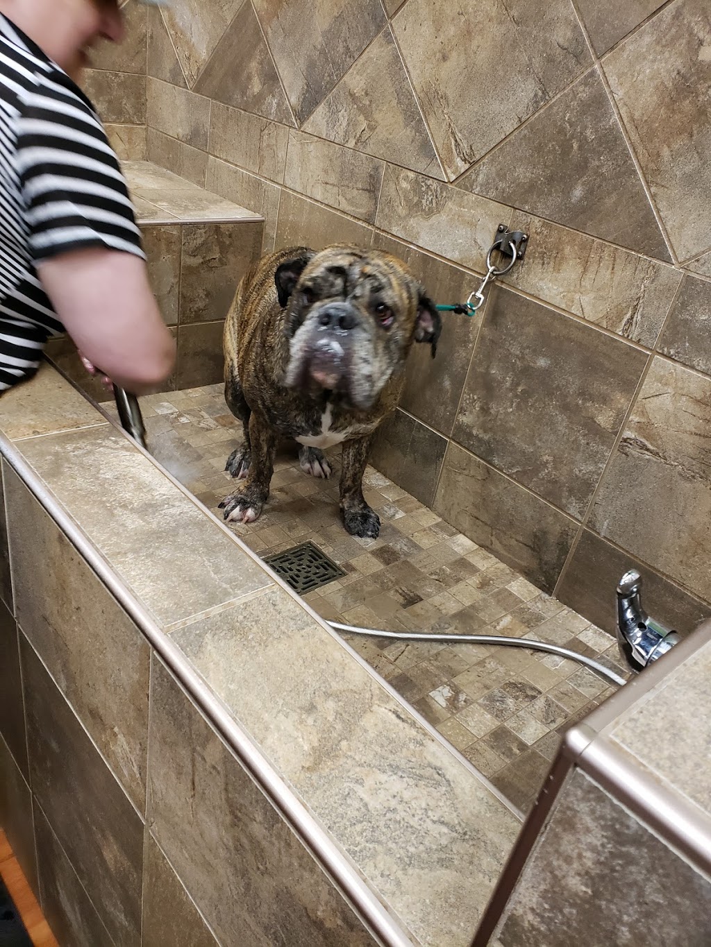 Pet Valu | 8005 Emerald Dr, Sherwood Park, AB T8H 0P1, Canada | Phone: (780) 464-0395