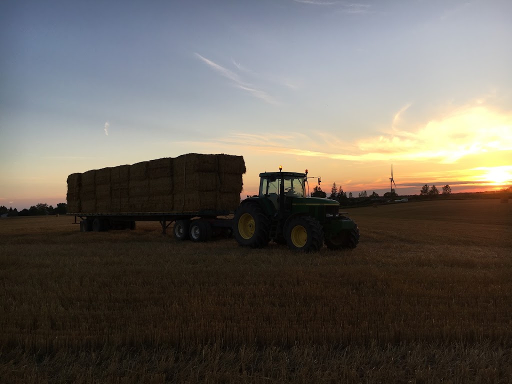 PDM Steckle Farms Ltd. | 74285 Bronson Line, Zurich, ON N0M 2T0, Canada | Phone: (519) 525-3087