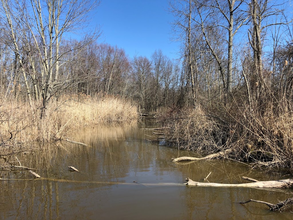 End of The line | Township of Cottrellville, MI 48039, USA