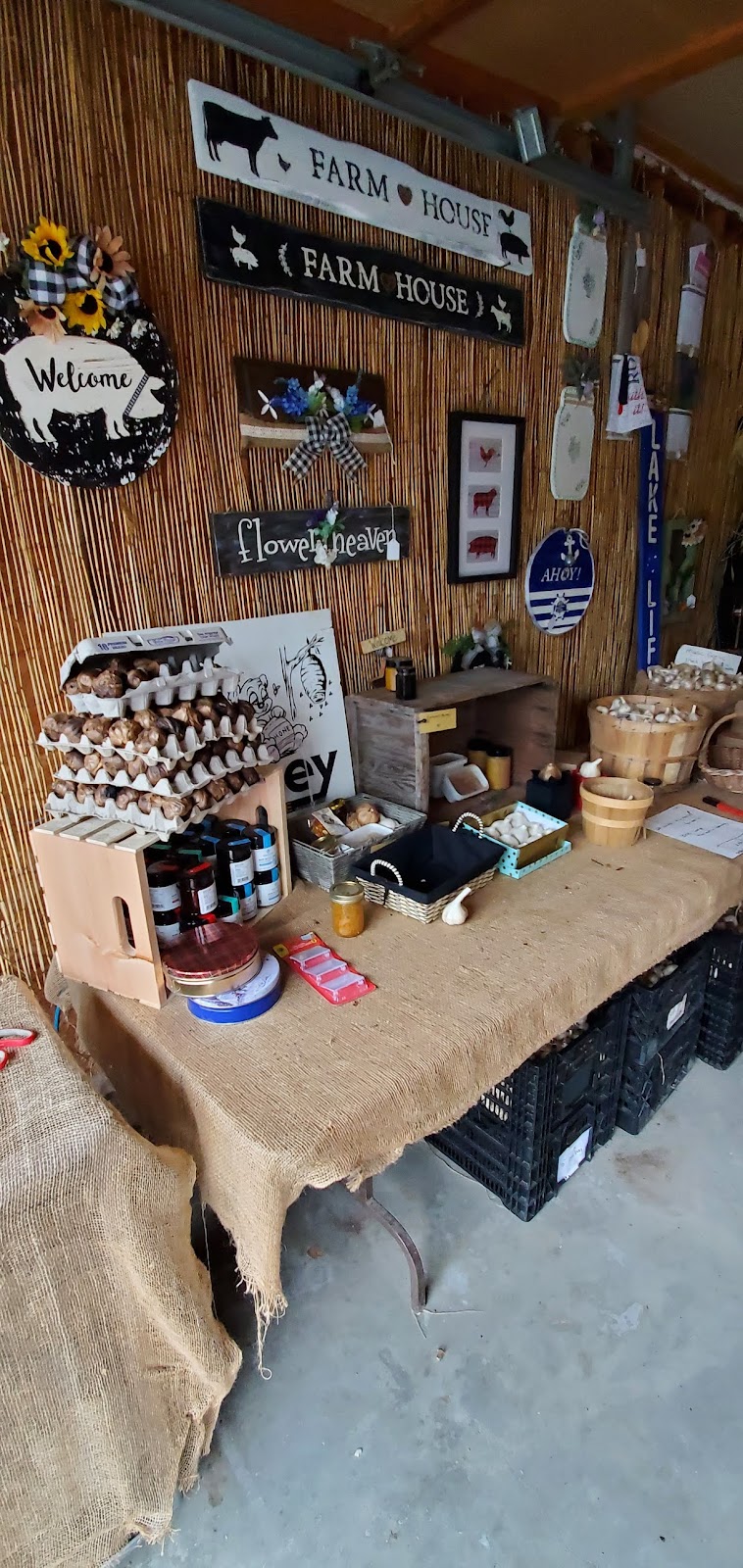 Meadow View Garlic Farm | 679 Columbus Rd E, Oshawa, ON L1H 8L7, Canada | Phone: (905) 809-1629