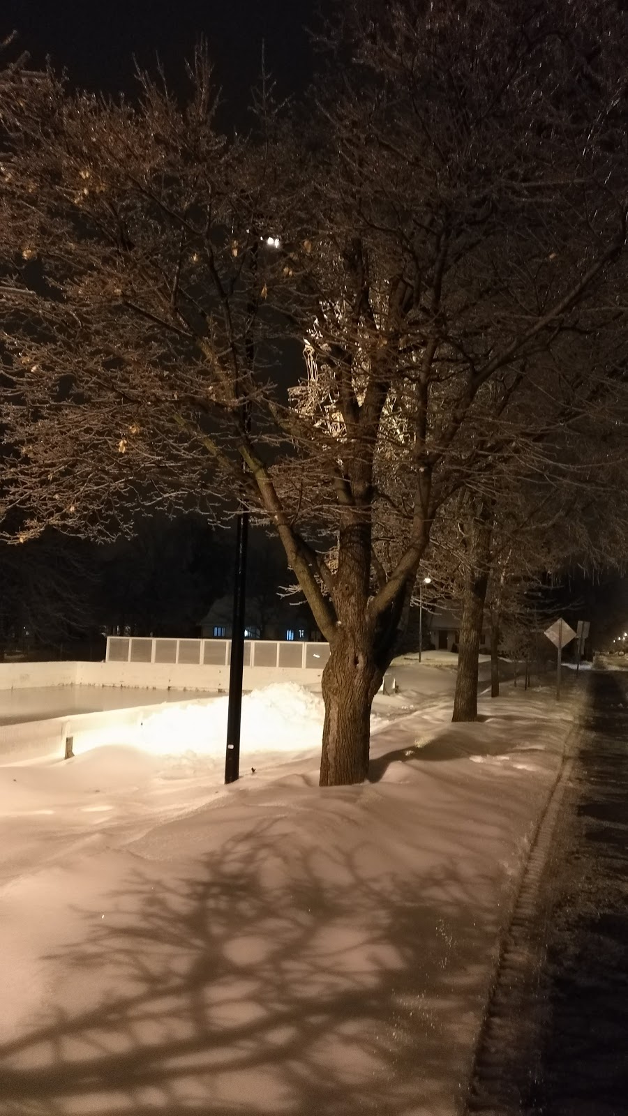 Parc Rabastalière | 1353 Rue Goyer, Saint-Bruno-de-Montarville, QC J3V, Canada | Phone: (450) 441-8399