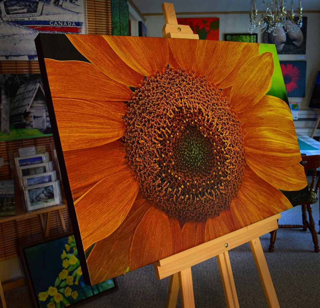 Cool Art by Richard | 2477 6 St E, Courtenay, BC V9N 7T8, Canada | Phone: (250) 338-7688