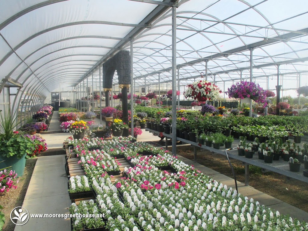 Moores Greenhouse | 243003 Range Road 240, Wheatland County, AB T1P 2C2, Canada | Phone: (403) 934-4885